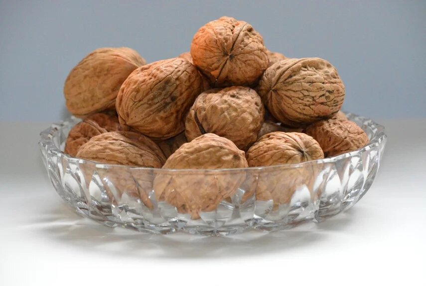 Фото: pixabay.com