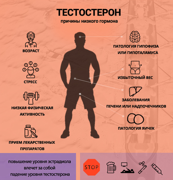 Тренировка направленная на увеличение уровня тестостерона мужчин.