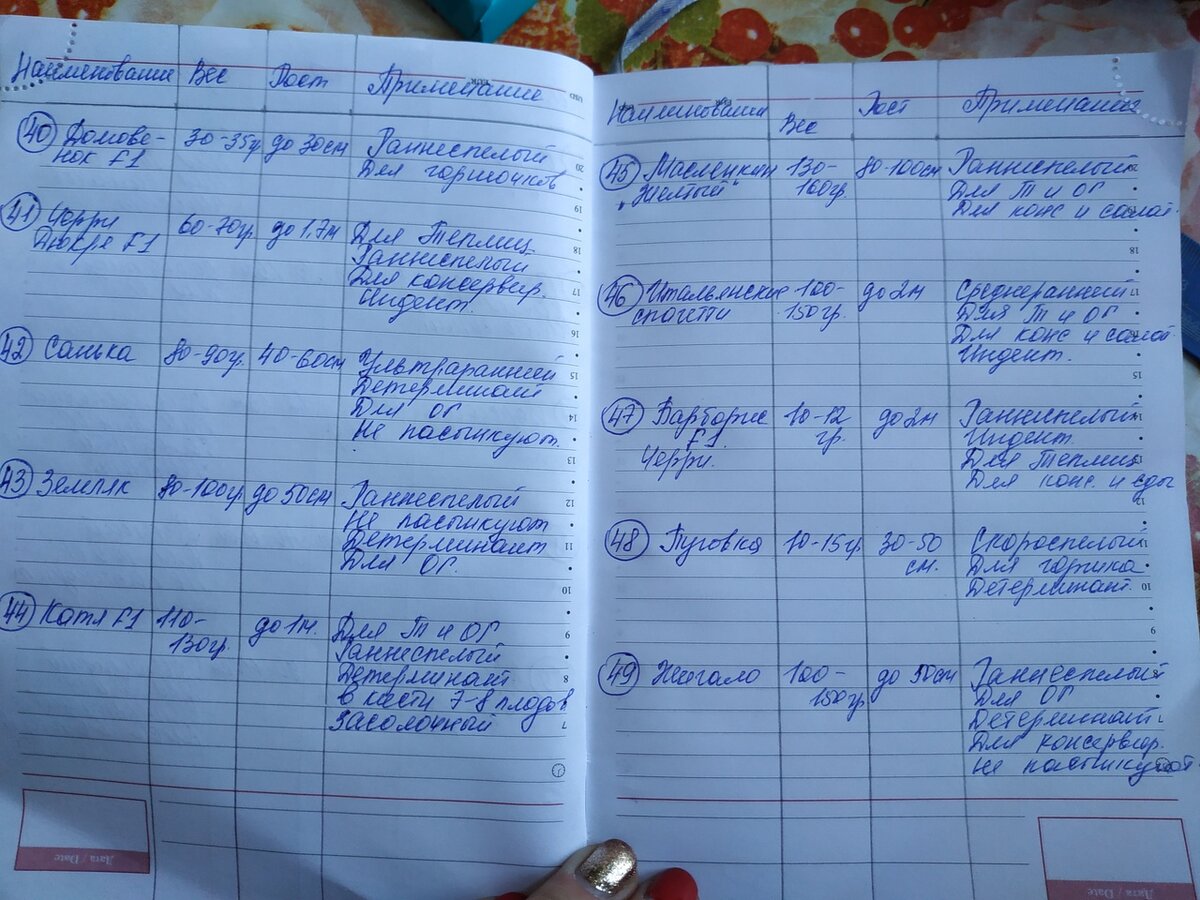 Моя тетрадь