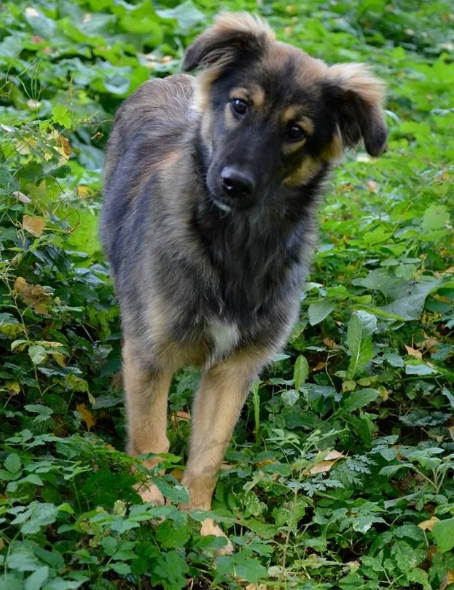 Все фото в этой  галерее - волонтёра Ирины Смирновой, к которой и пришла наша героиня)