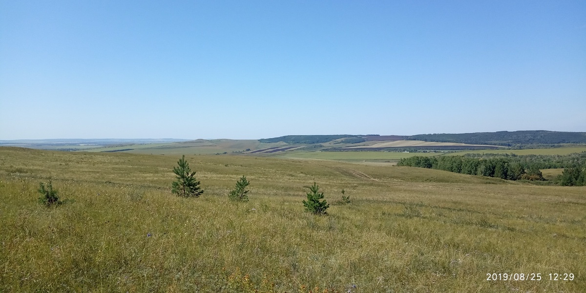 People will forget many wrongs
And forgive grave sins,
But be that as it may,
However, the wounds will be deep.
He can take a lot,
A lot to understand, to forgive,
But he can't go on living with a man...