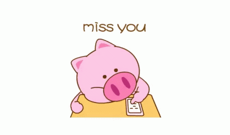 This piglet seems to miss you so much :)