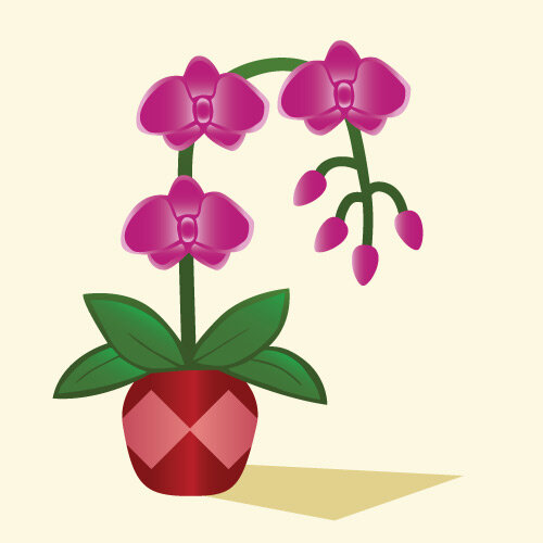 Фото взято с сайта https://www.flyingflowers.co.uk/