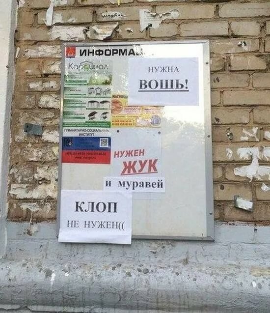 Из свободного доступа Яндекс картинки
