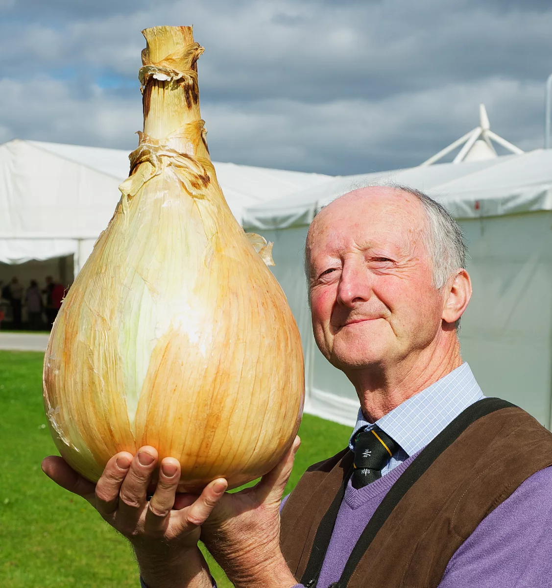 Самый дорогой овощ. Лук Питер Глейзбрук рекорд. Питер Глейзбрук морковь. Самая большая луковица в мире. Самый большой лук.