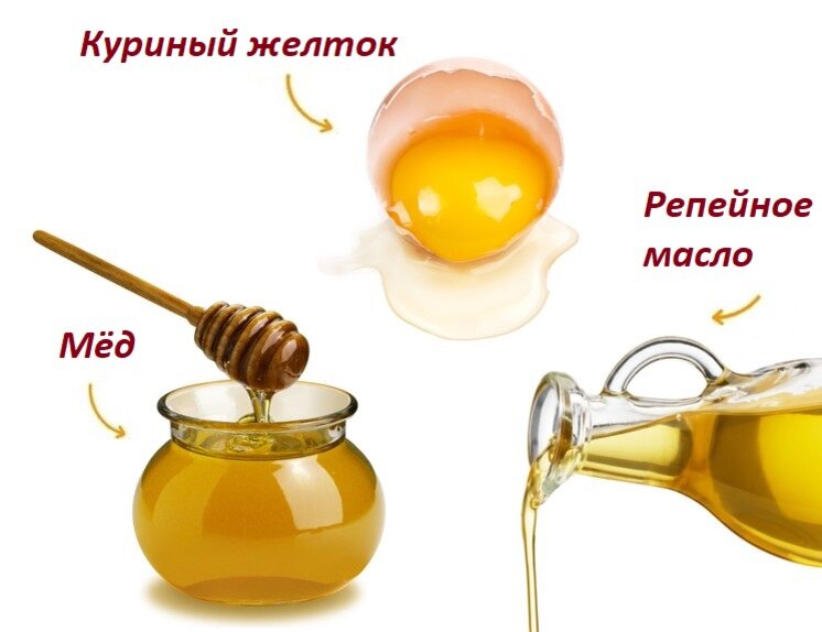 Маска медом яйцом коньяком