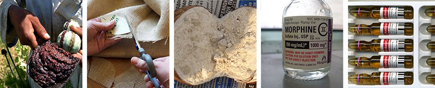 Фото Яндекс Картинки