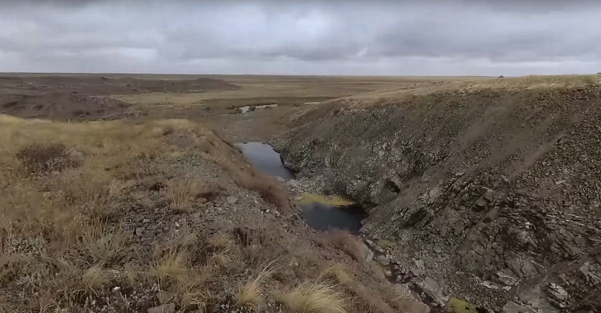 Фото добавлено из сервиса youtube.com