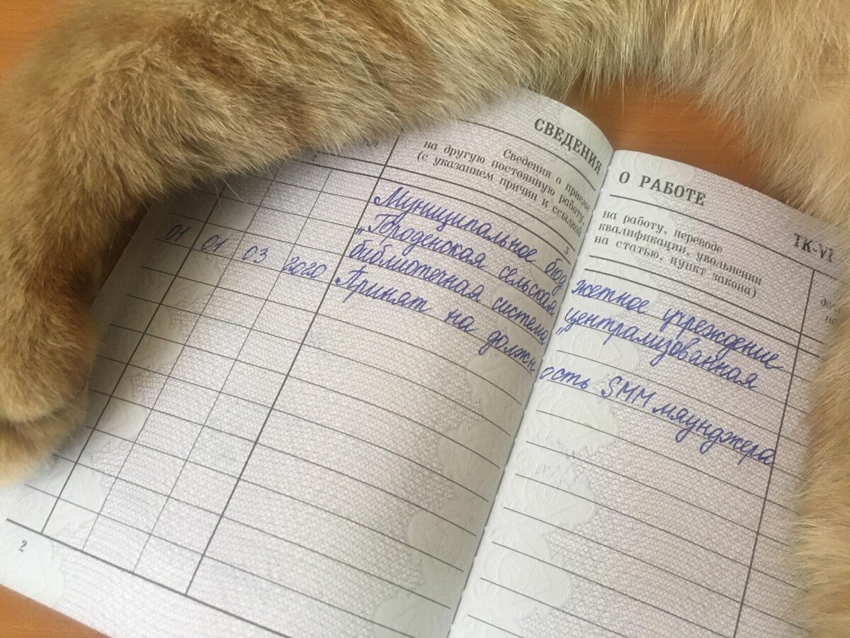 Фото: Городенская сельская библиотека