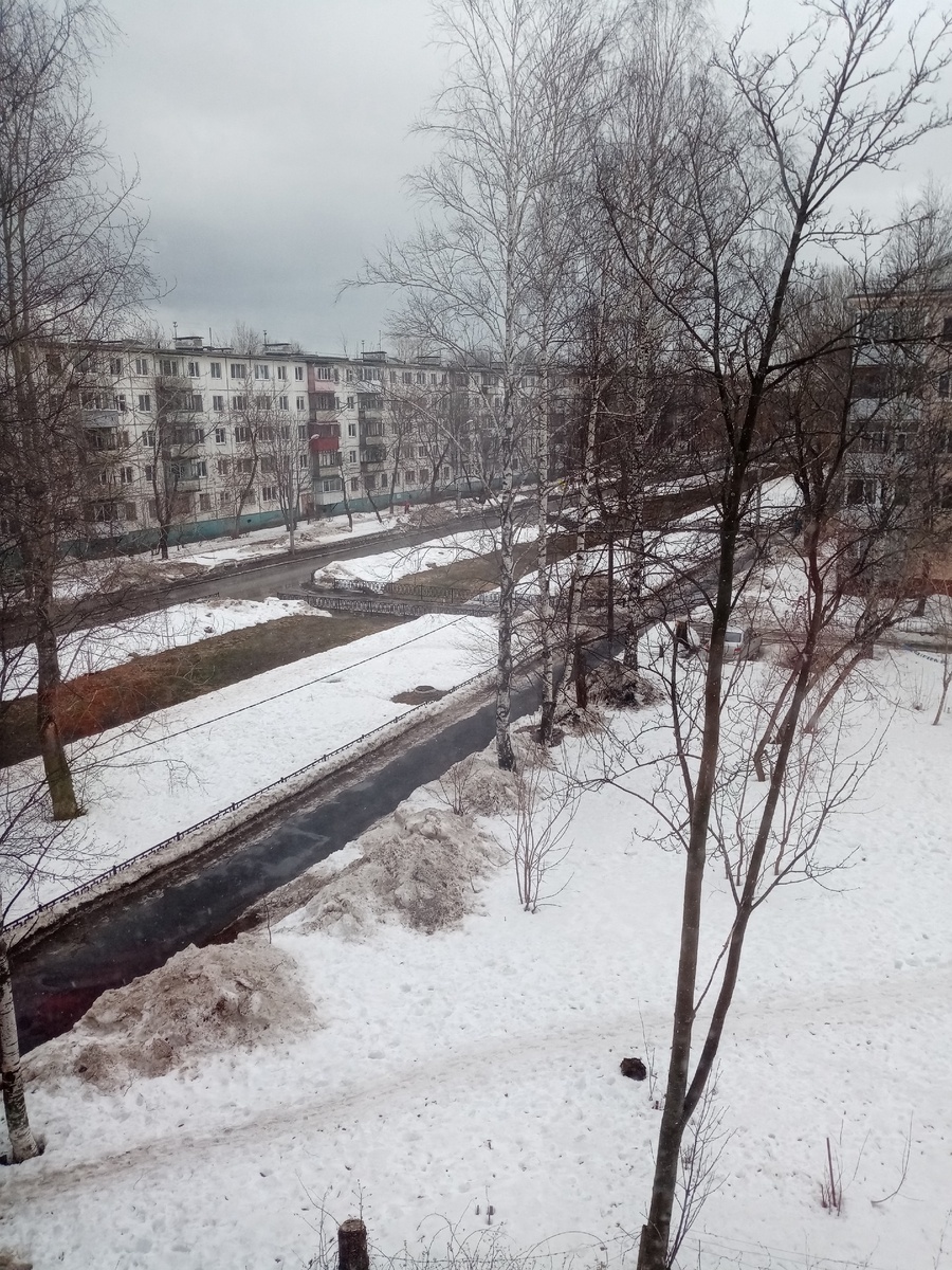 Это вид из моего окна