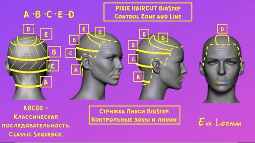 Женские стрижки в Твери