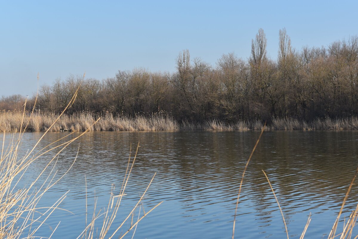 Фотография сделана 8 марта