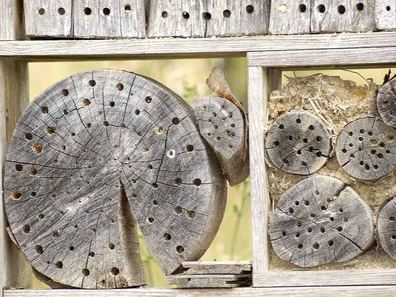 Фото: pxfuel.com