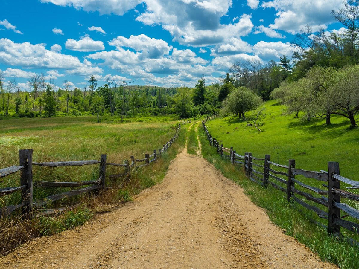 Проселочная дорога фото картинки