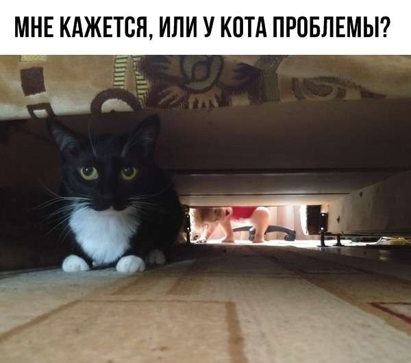 Картинка из просторов интернета 