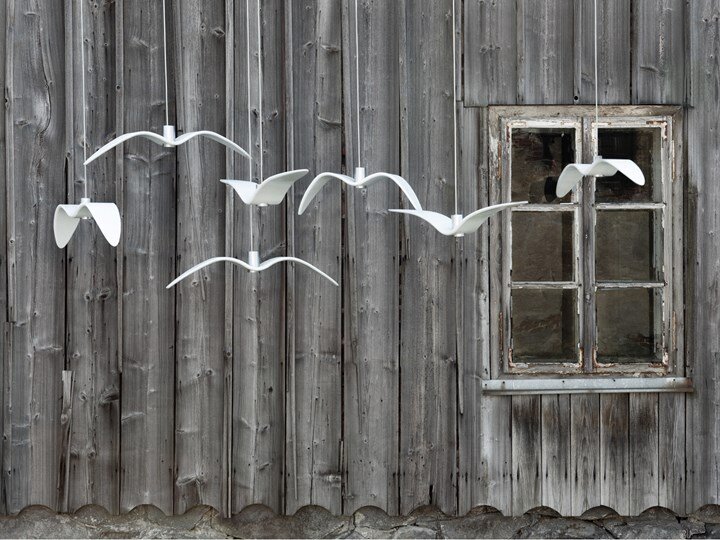 Коллекция Night Birds