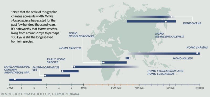 Источник: https://www.the-scientist.com/features/genetics-steps-in-to-help-tell-the-story-of-human-origins-67871
