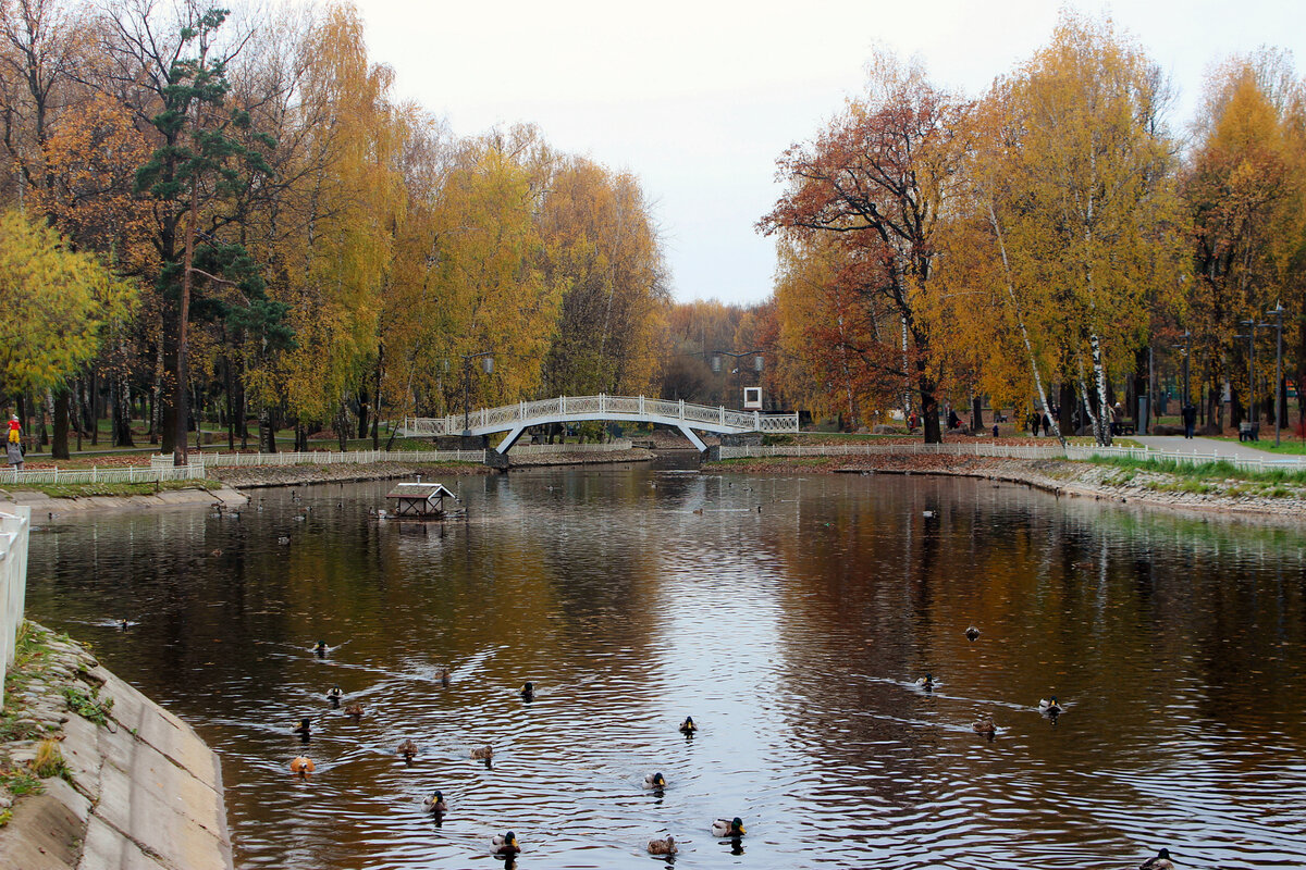 Фотография в лианозово