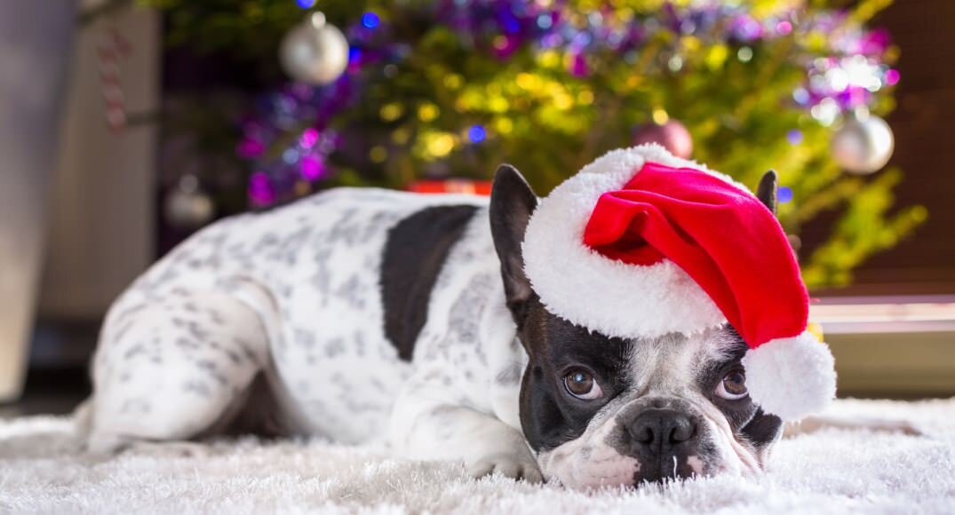 Использовано в качестве иллюстрации. Источник Яндекс-картинки