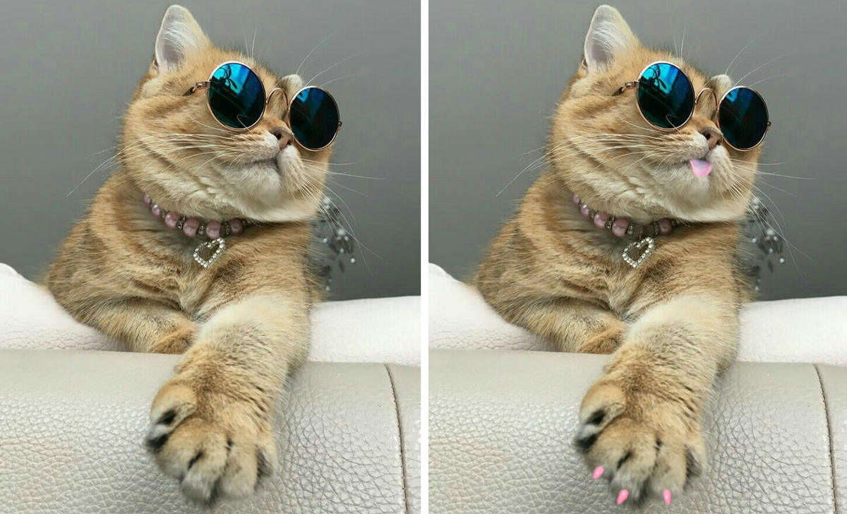 #найди отличия 