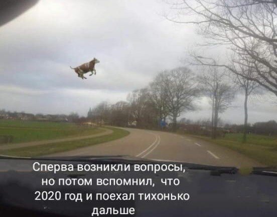 После 2020 уже и удивляться нечему.(idaprikol.ru)
