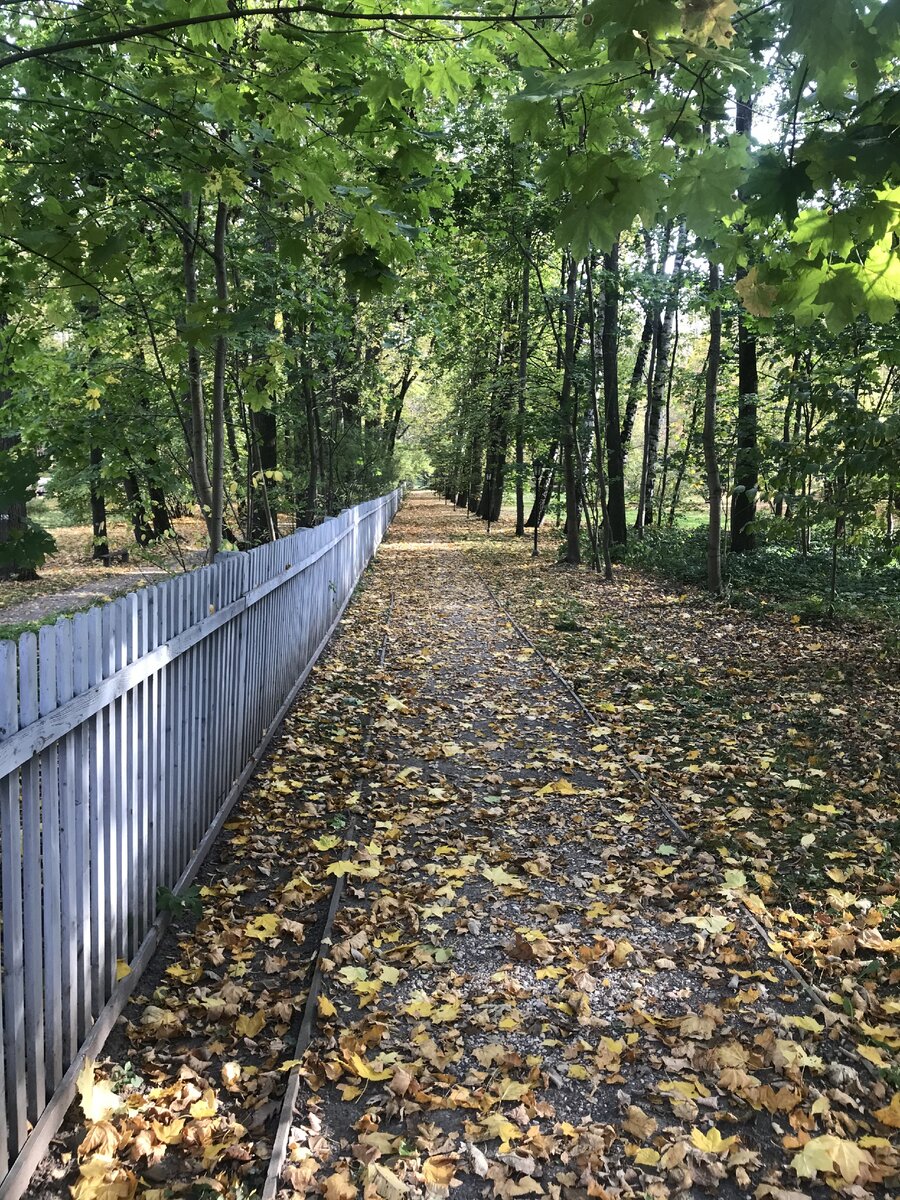 Аллеи парка