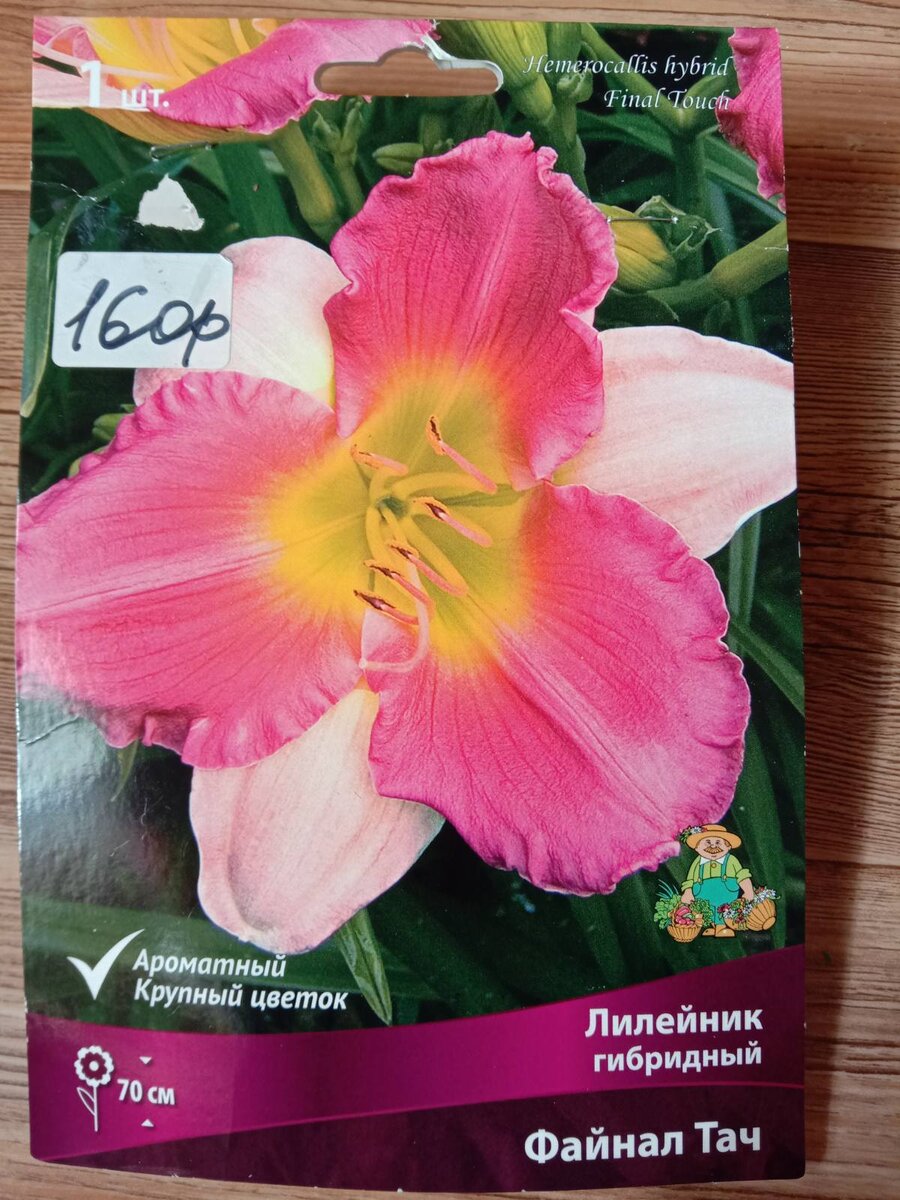 Лилейник Файнал Тач
