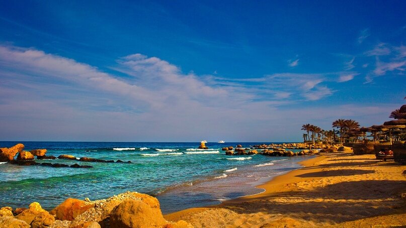 Берег Красного моря