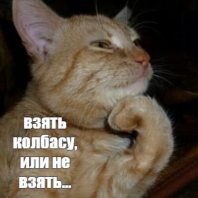 Вот в чём загадка этой драмы...