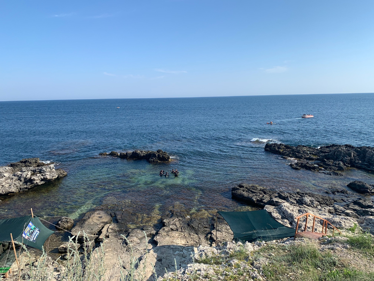 Рядом с чашей любви обучают дайвингу 