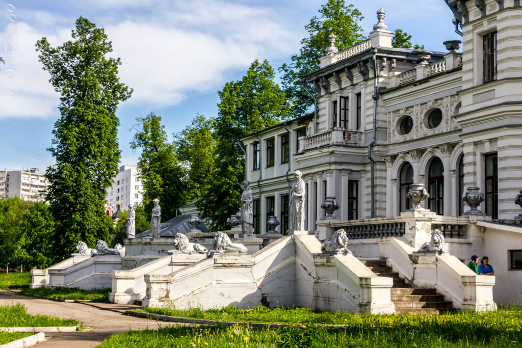 Фото с сайта tender-owl.ru