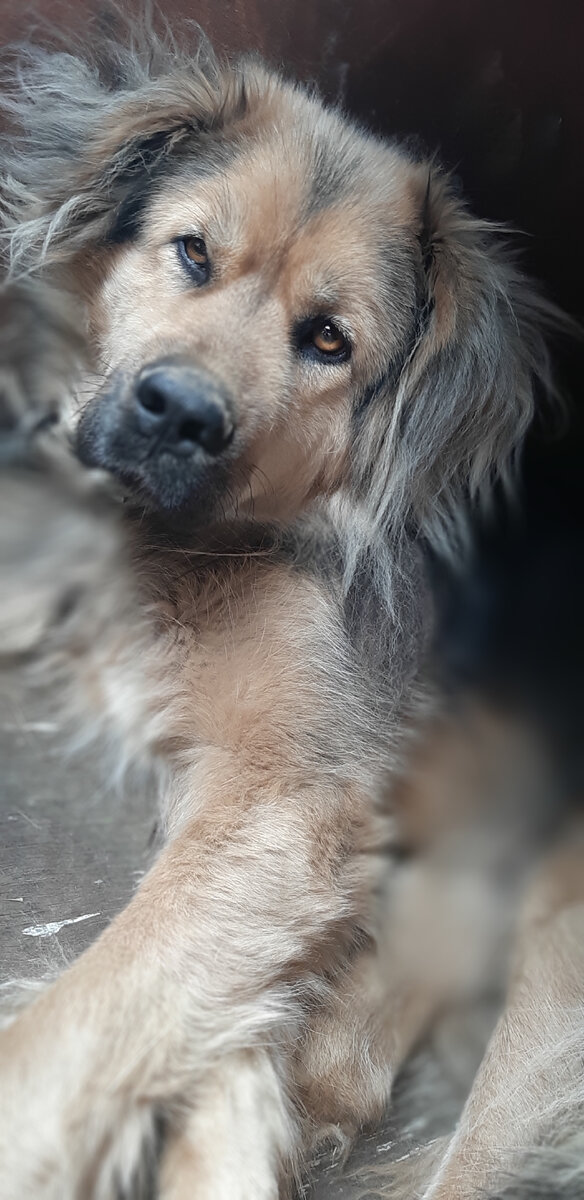 Прошенька. Фото автора