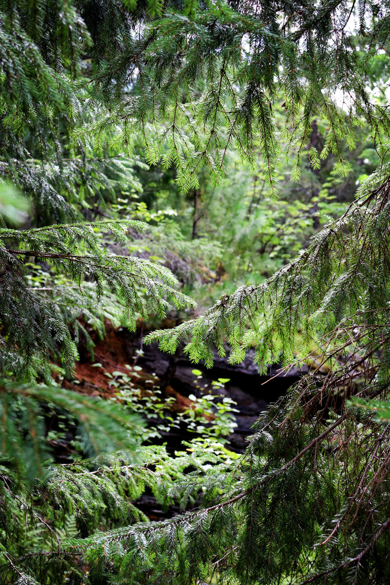 Как "вход в сказочную страну", да?