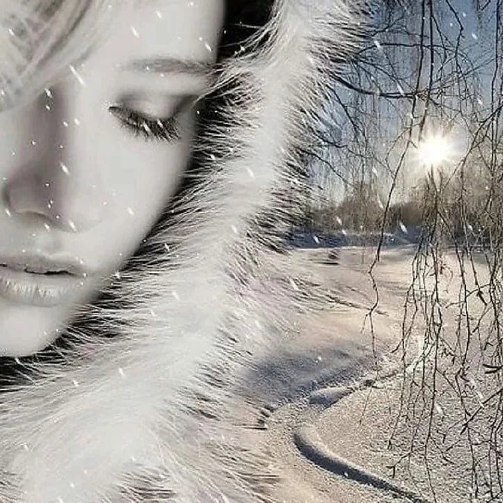 Яндекс.Картинки