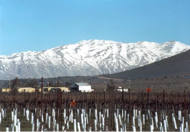 гора ермон. гора ермон. гора хермон сирия. вершина горы ермон. высота горы хермон израиль.