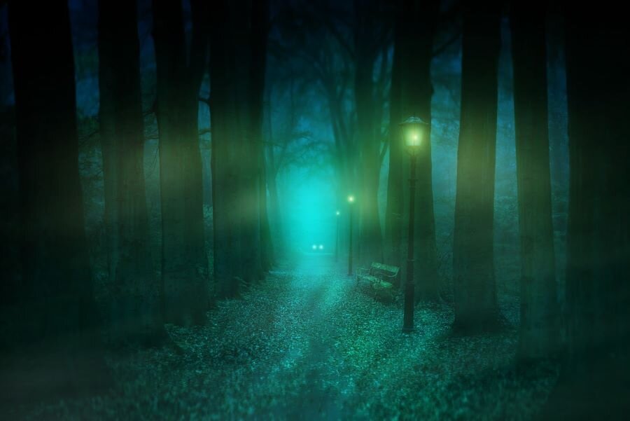 Фото: pixabay.com