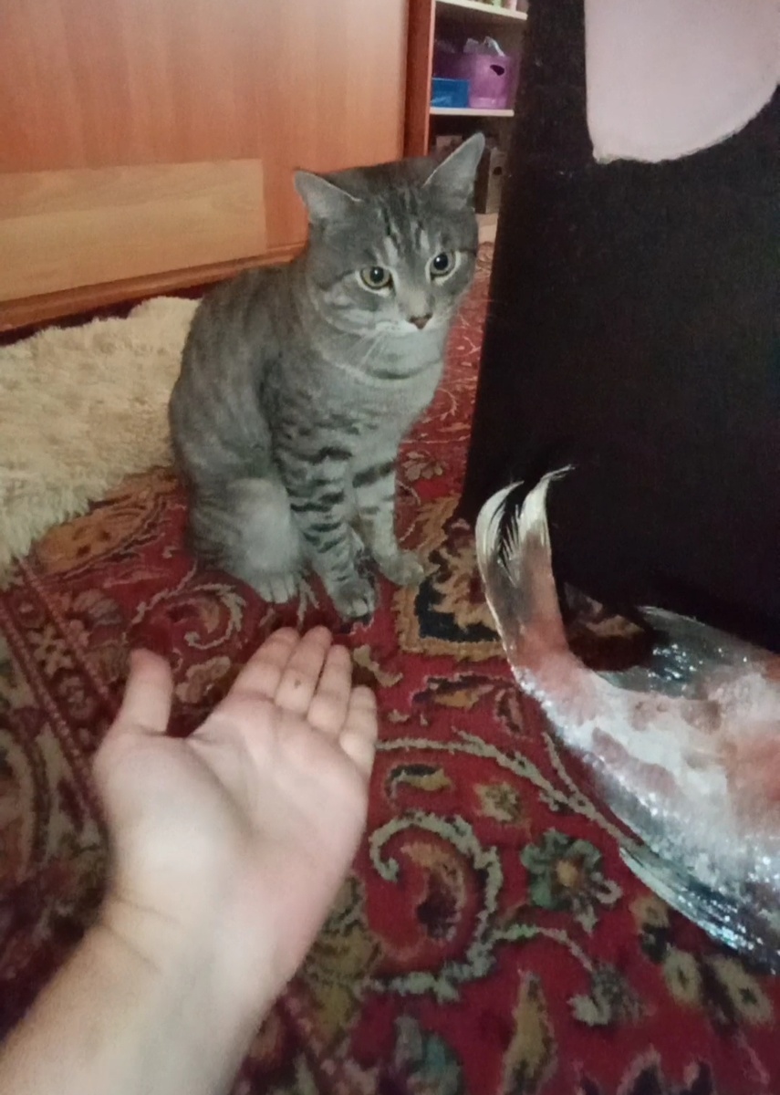 Фото автора