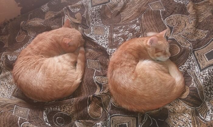 Из личного архива автора канала