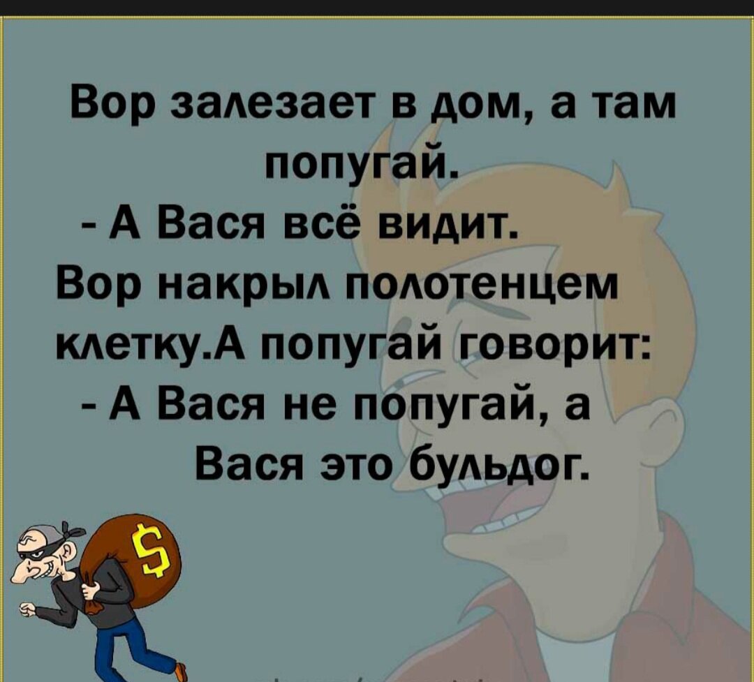 Байки, приколы, анекдоты 1 | Катя Василенко | Дзен