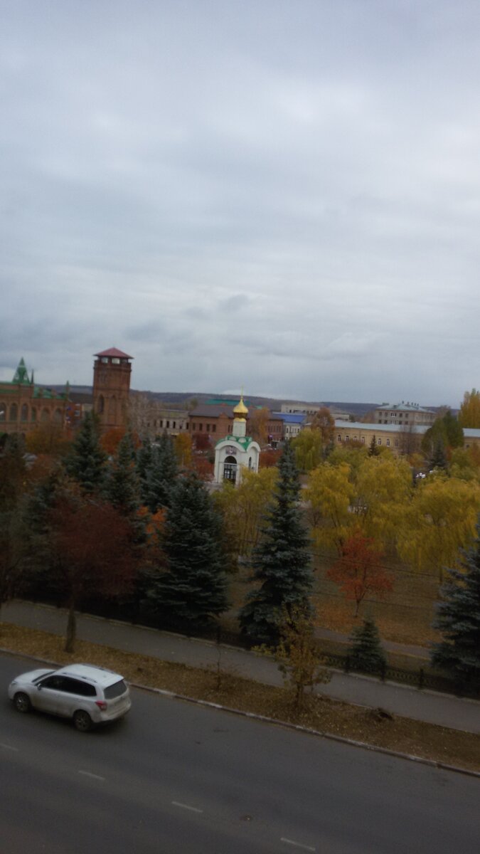 Фото автора  Ленинский садик осенью – вид из окна на северо – восток парка 20 октября 2021 года.