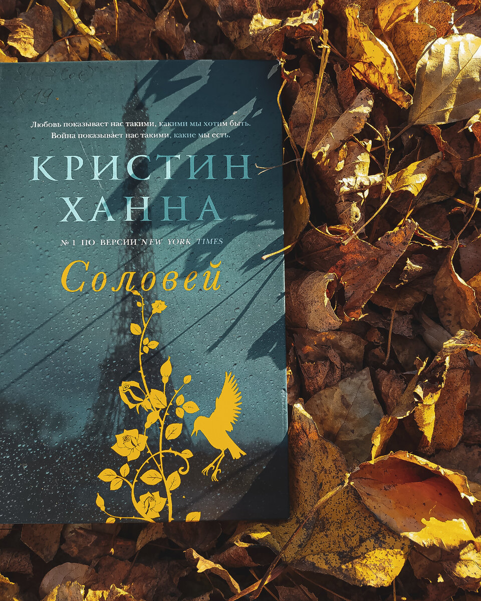 Зимний сад книга кристин ханна