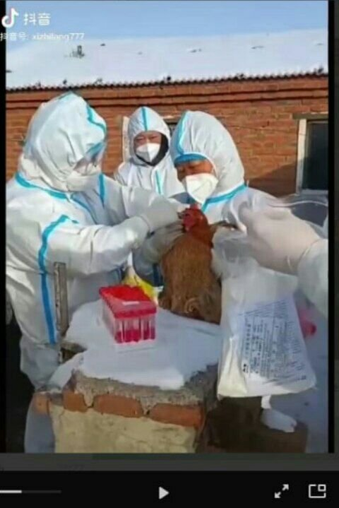 Скриншот видео китайской социальной сети