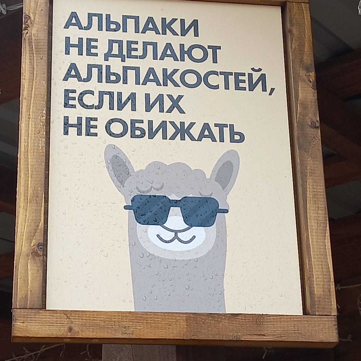 Не нужны пакости? - не обижайте!