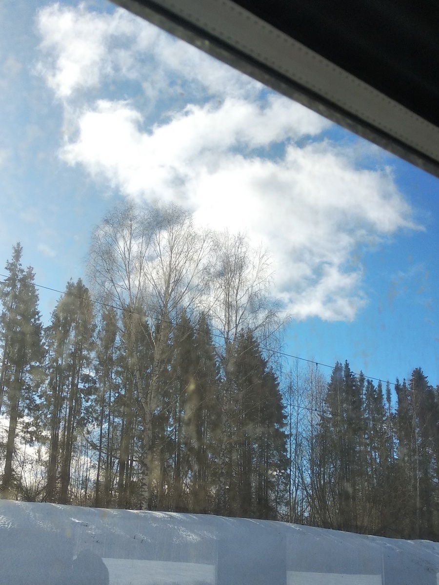 Солнечный день