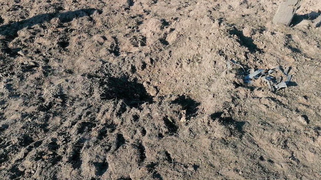    Фото: телеграм-канал губернатора Брянской области