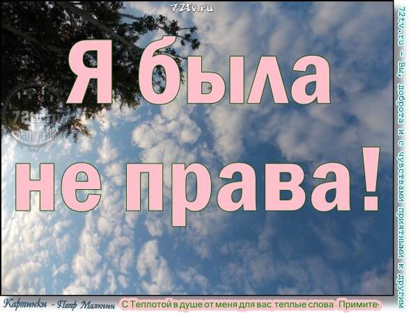 Яндекс картинки 