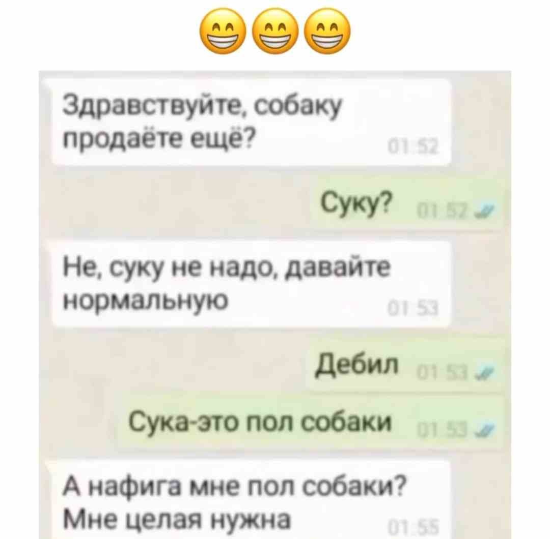 Тупость года 😂