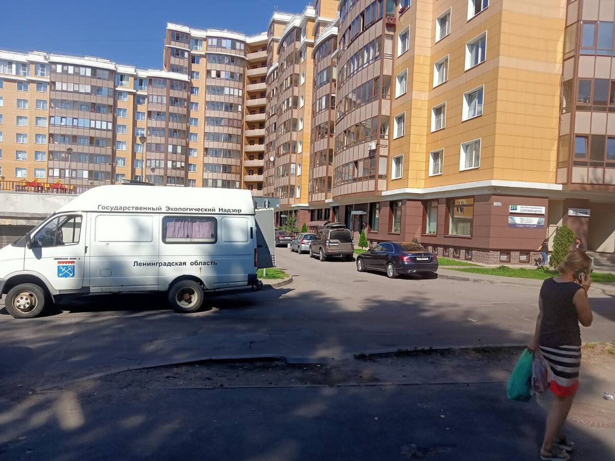 ФОТО: правительство Ленинградской области / Telegram