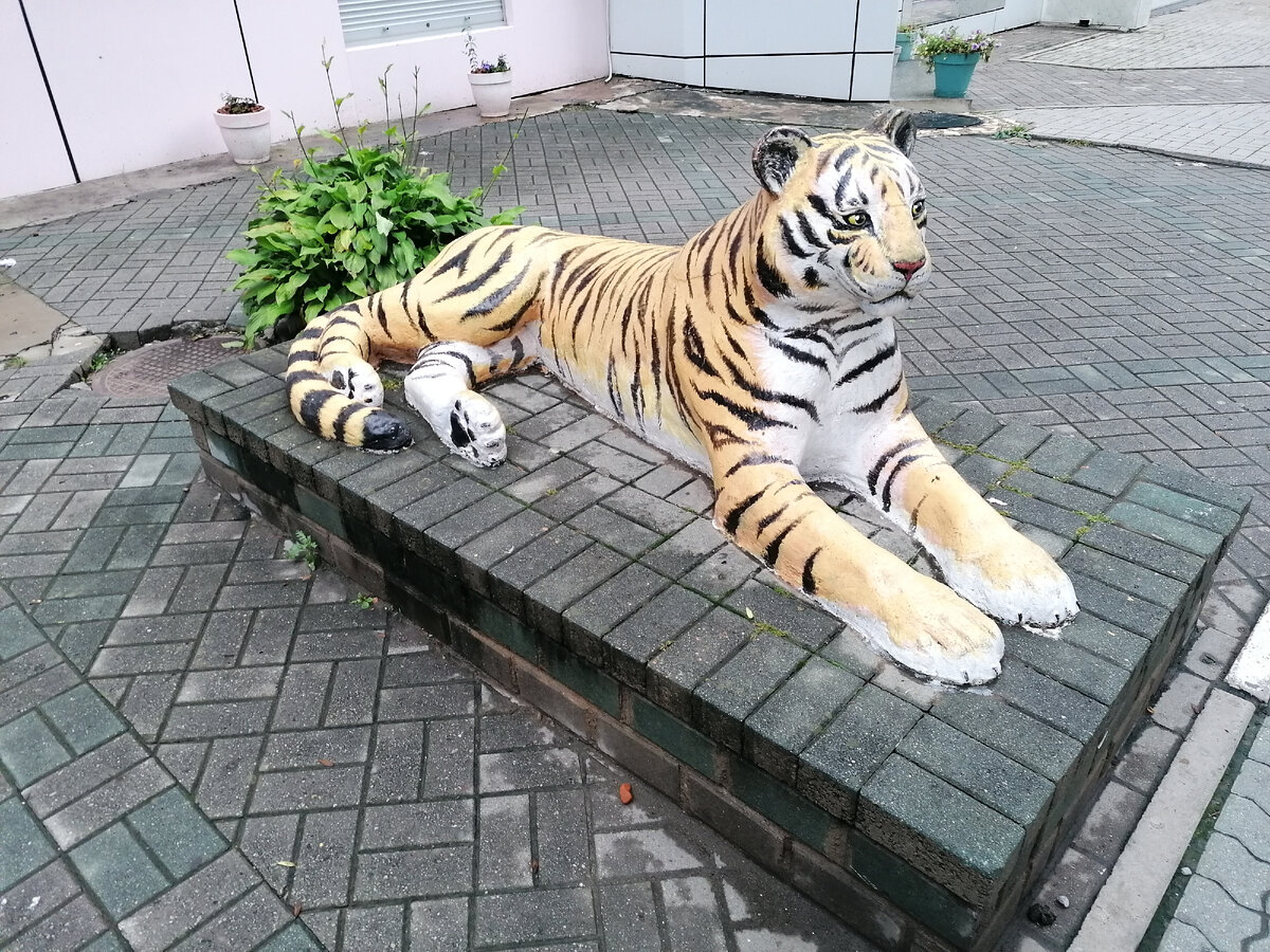 Фото автора.