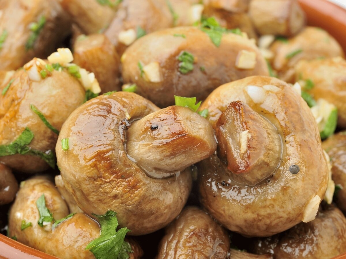 Самые свежие рецепты для Вас!